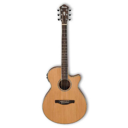 قیمت خرید فروش گیتار آکوستیک Ibanez AEG15II lG
